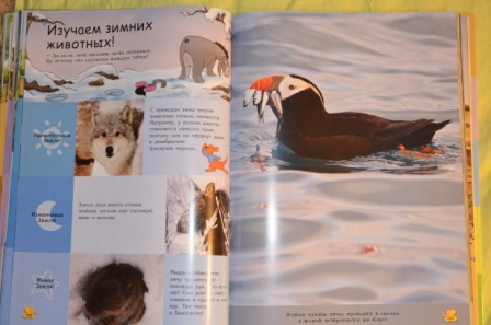 Из последнего. На вырост)