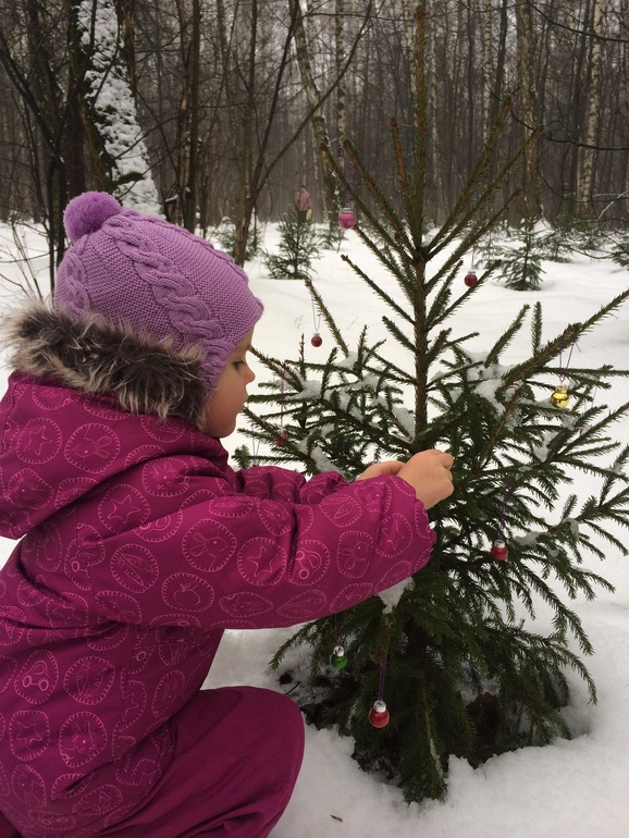 Рождественский пир лесных зверят