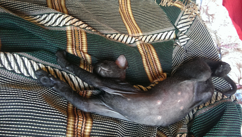 Знакомьтесь - Юта! )))