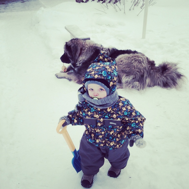 Клоп