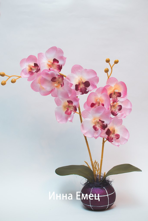 Орхидеи