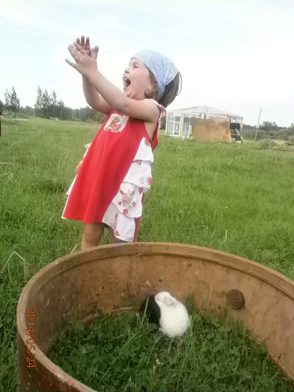 София и кролики