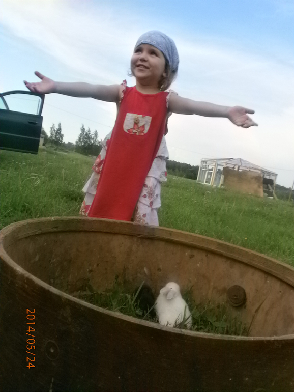 София и кролики