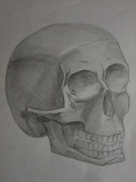 Рисунки