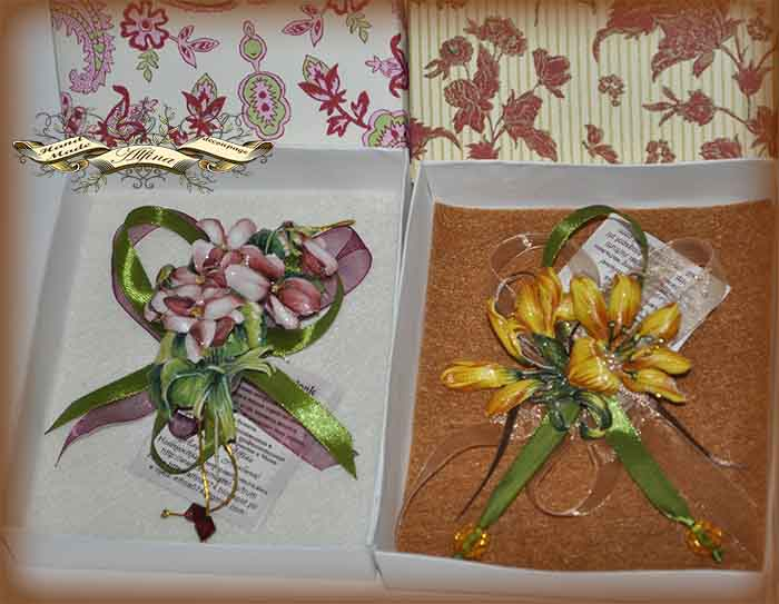 Броши, брошки, брошечки....