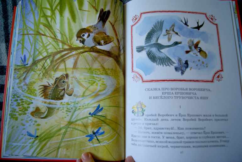 Наше пополнение - Нигма