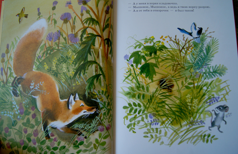 Наше пополнение - Нигма