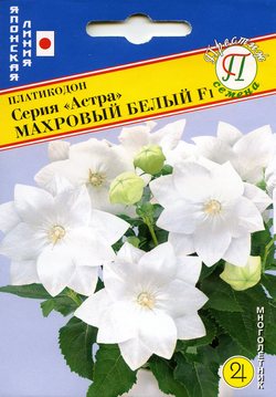 Большой посев прошел у меня сегодня