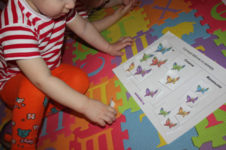 ТН "Насекомые". Пятый день.