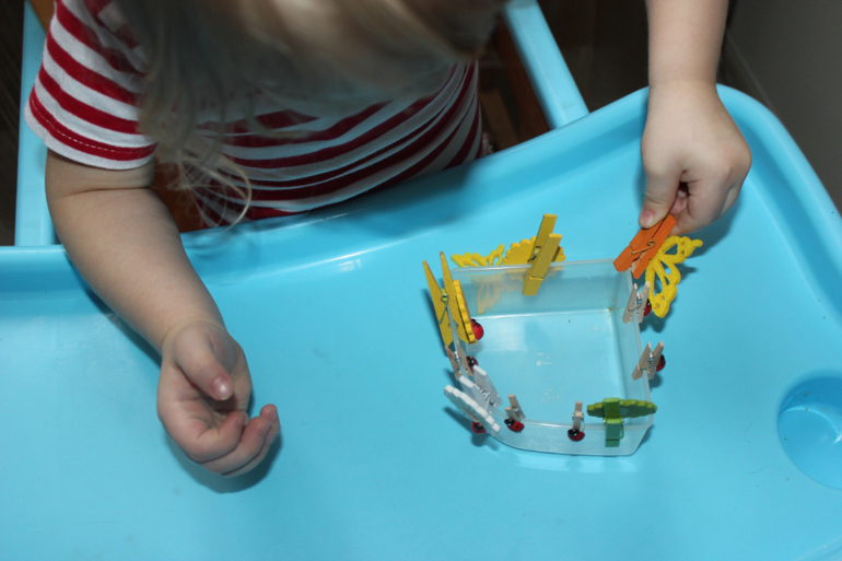 ТН "Насекомые". Пятый день.