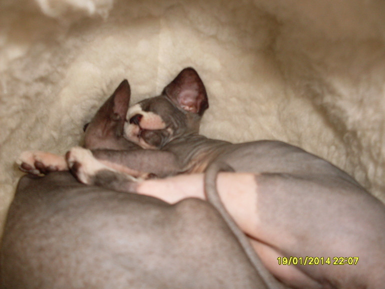 А у нас ЛЮБОВЬ!