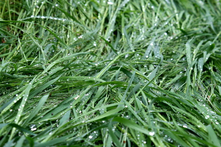 После Дождя