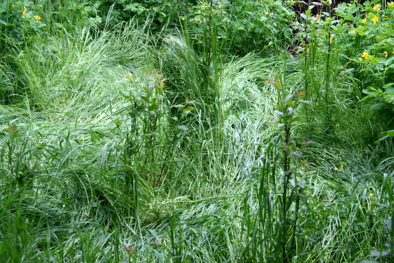 После Дождя