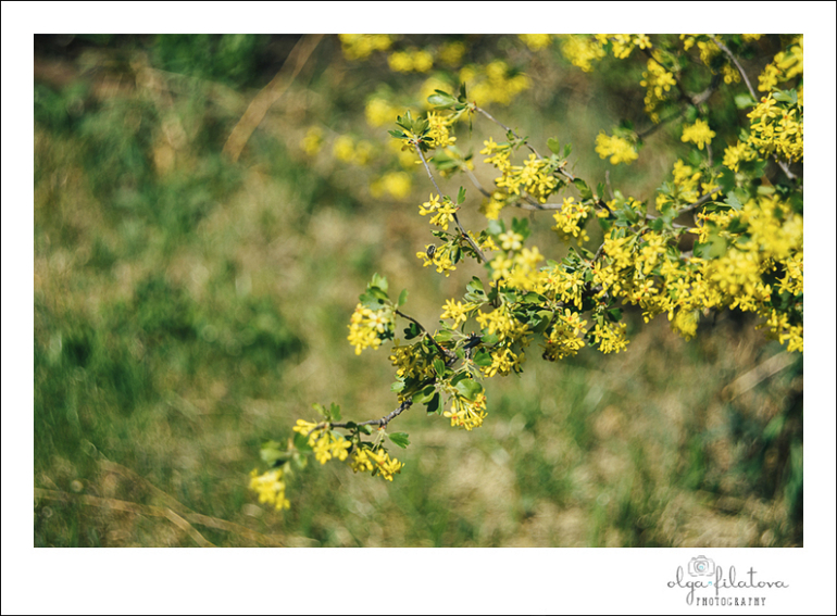 Настя - Том Сойер или хорошо в саду весной ) Часть 1.