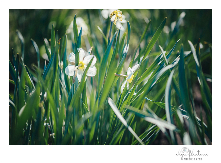 Настя - Том Сойер или хорошо в саду весной ) Часть 2.