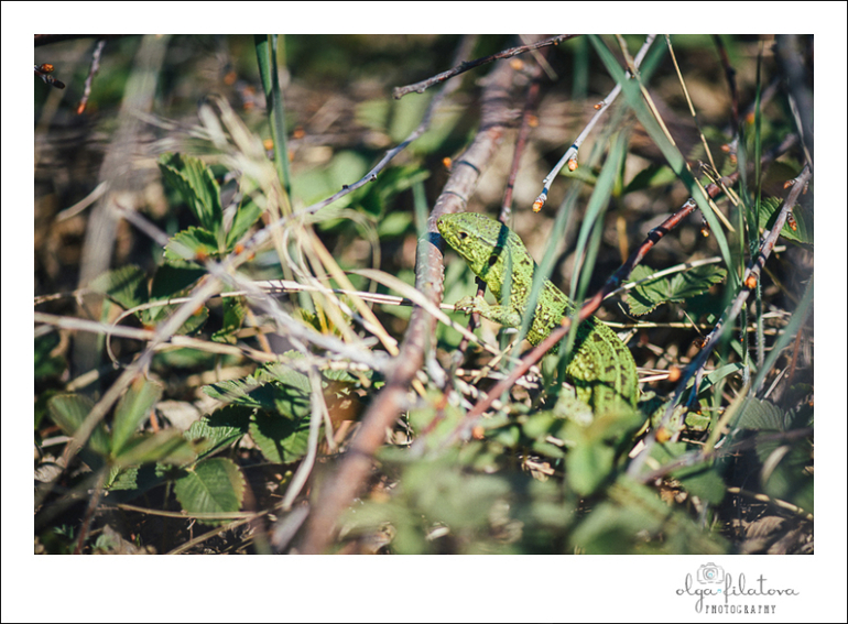 Настя - Том Сойер или хорошо в саду весной ) Часть 2.