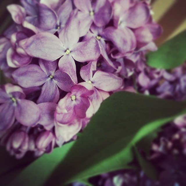 Наши будни )