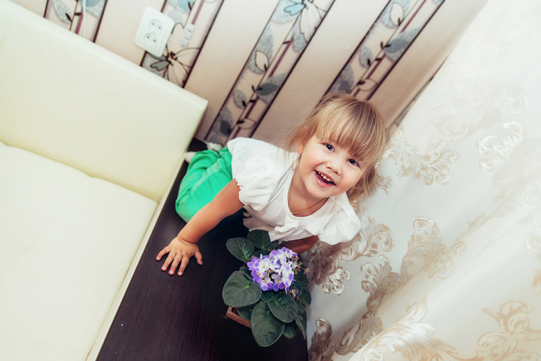 Мои фото-будни... 12 июня или...