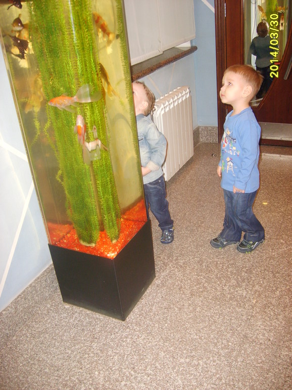 Кукольный театр 30.03.2014г.