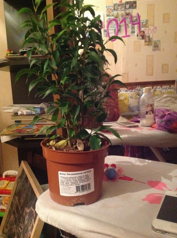 Уголок приманок