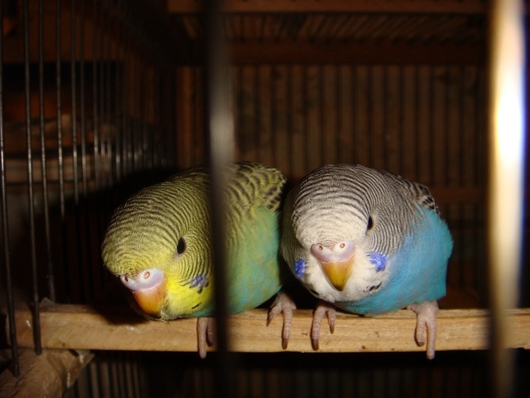 Мои попики!))))