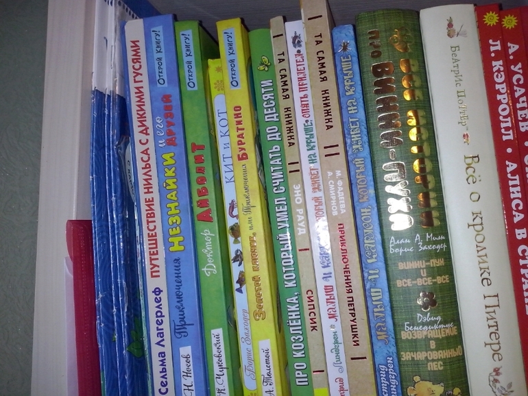 Моя библиотека (просто хочется похвастаться:)