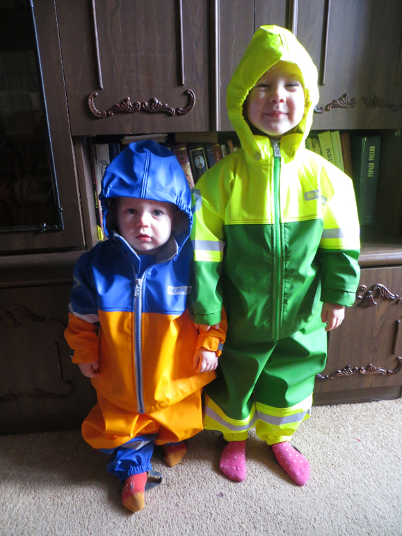 Наш дидриксон