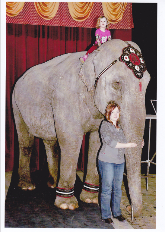 Цирк огромных зверей.