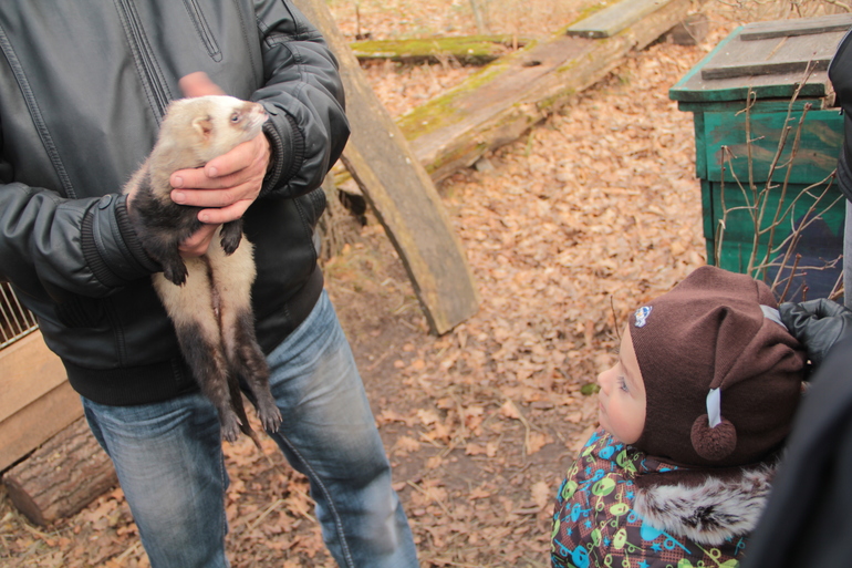 Приокско-террасный заповедник. Усадьба Поленово