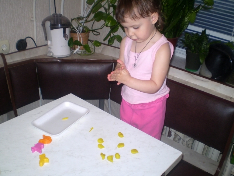 ТН Домашние животные Кошка