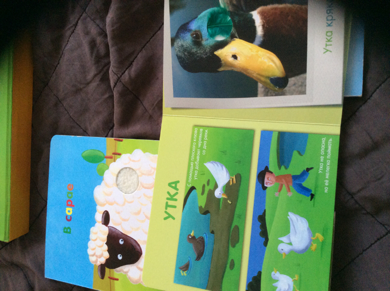 Книжки развивавшки для самых маленьких