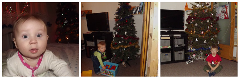 Новогодне-эвалюционное