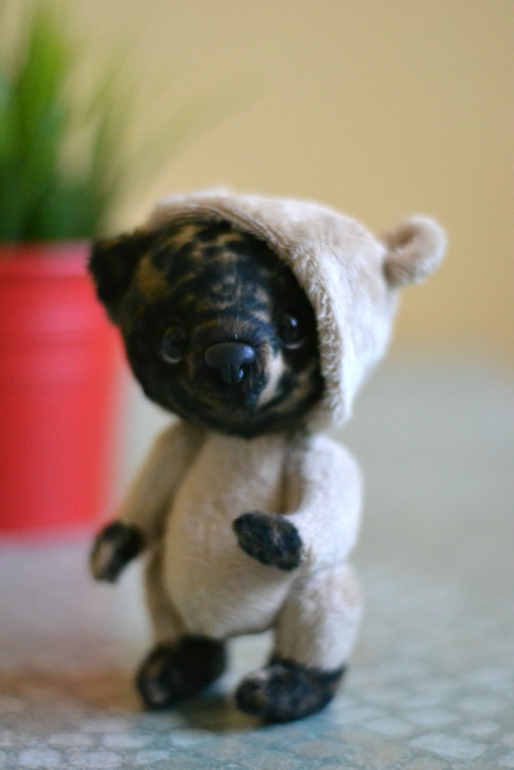 Наши новые малыши из меха