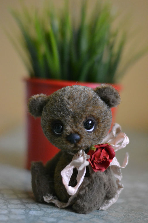 Наши новые малыши из меха