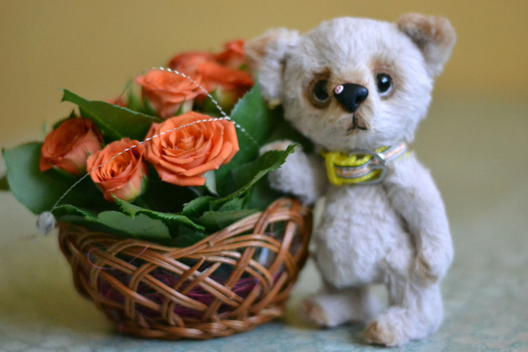 Наши новые малыши из меха