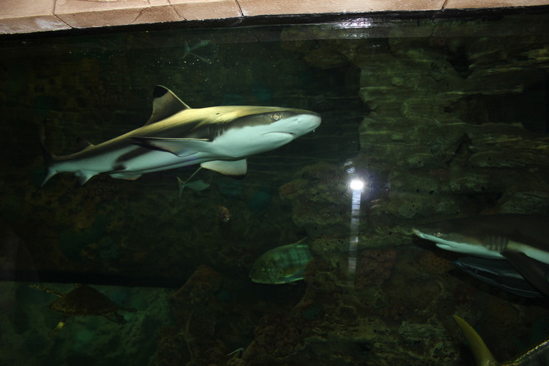 Насыщенная суббота