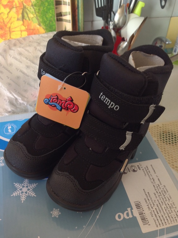 Зимние сапоги El Tempo