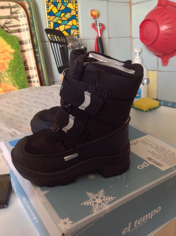 Зимние сапоги El Tempo