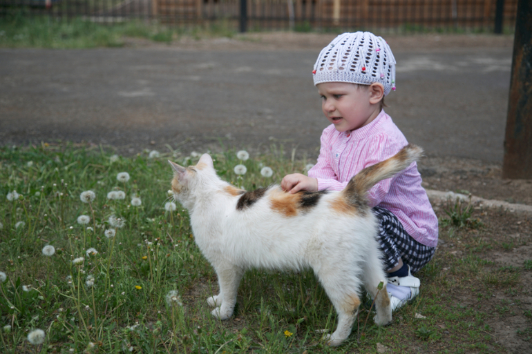Проявляя интерес...(нам 2,4 сегодня!)