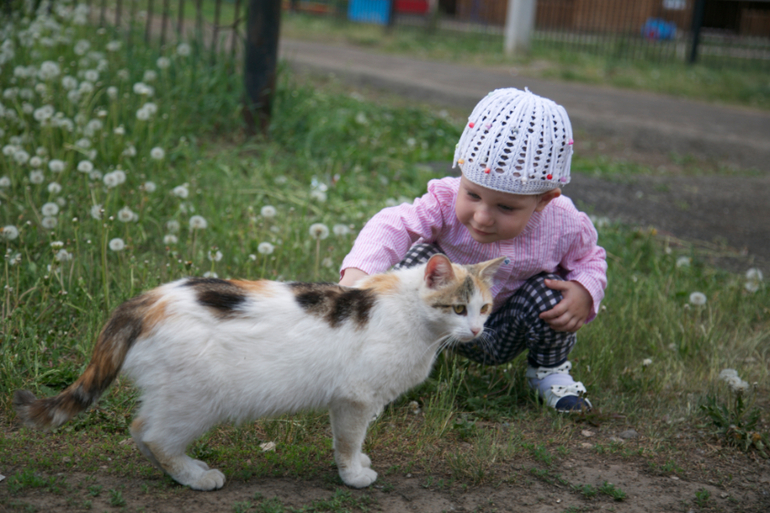 Проявляя интерес...(нам 2,4 сегодня!)