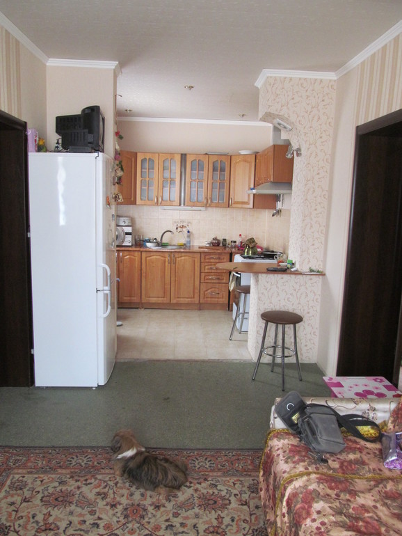 Наш дом:как только въехали и то что успели сделать на сегодня(прошло 9 месяцев)