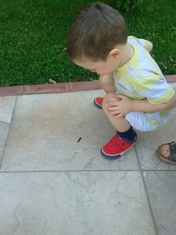 Весна в Турции