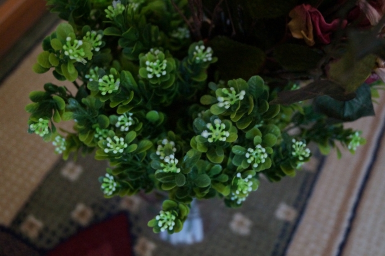 А теперь я буду хвастаться!!!!!