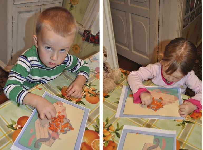 ТН Овощи, фрукты