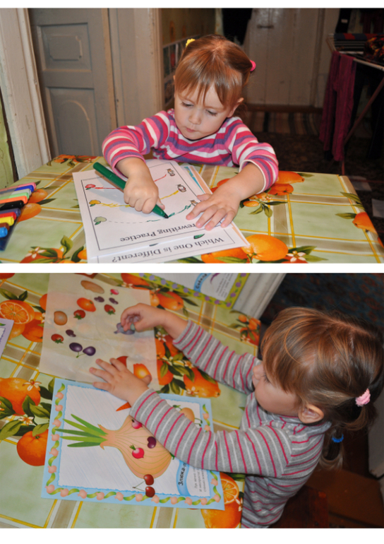 ТН Овощи, фрукты