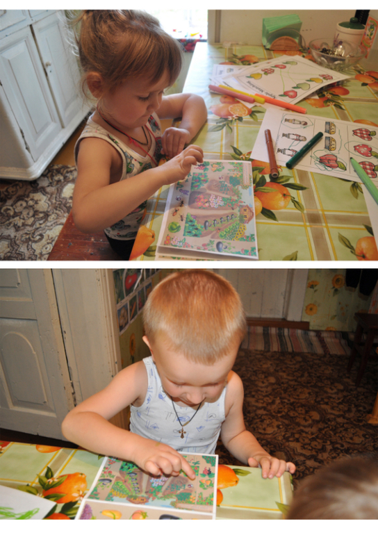 ТН Овощи, фрукты