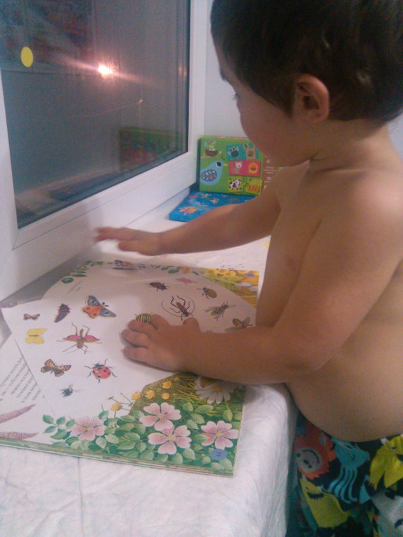 Денек, посвященный пчелке!