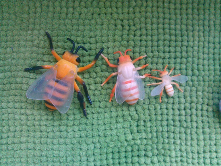 Денек, посвященный пчелке!