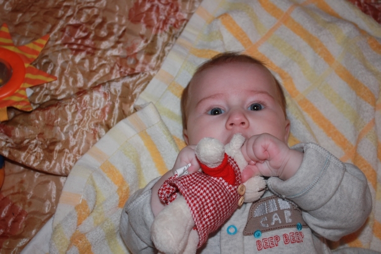 Лёве 3 месяца