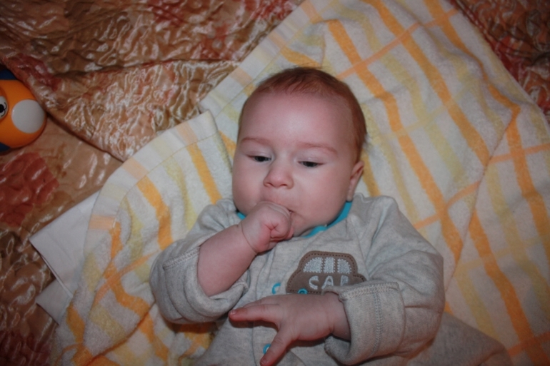 Лёве 3 месяца